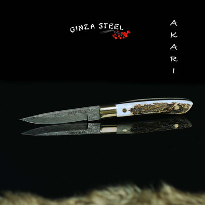 AKARI Skinner Messer 3,5 Zoll mit Hirschhorngriff und Original-Lederscheide
