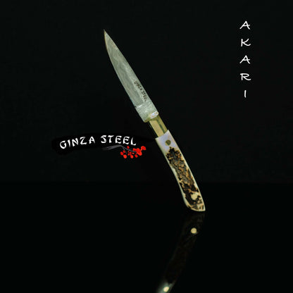 AKARI Skinner Messer 3,5 Zoll mit Hirschhorngriff und Original-Lederscheide