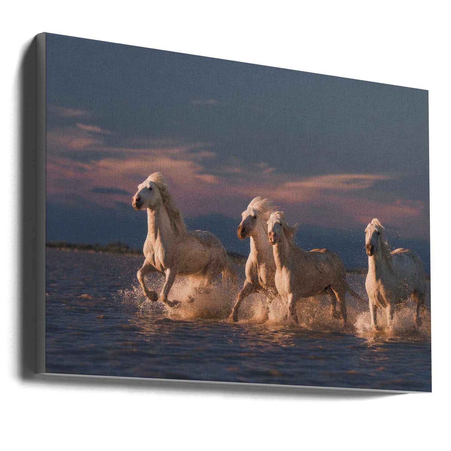 Wandkunst Engel der Camargue. Pferde