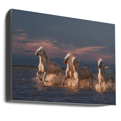 Wandkunst Engel der Camargue. Pferde