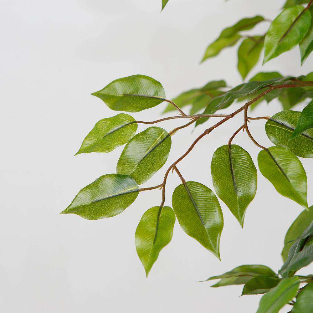 Bea Artificial Ficus Potted Plant 6.5’