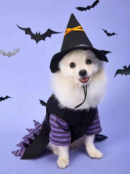 Witch Dog Halloween Costume | Dog Costume for Halloween