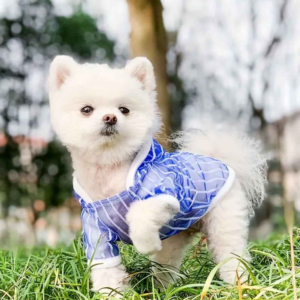 Jeremiah Dog T-Shirt | Sheer Detail Dog Shirt
