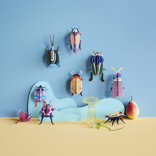 Coccinelle Couple