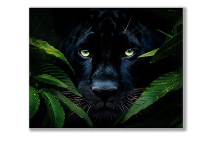 Wandbild - Seltener Schwarzer Jaguar - Wildlife Leinwand