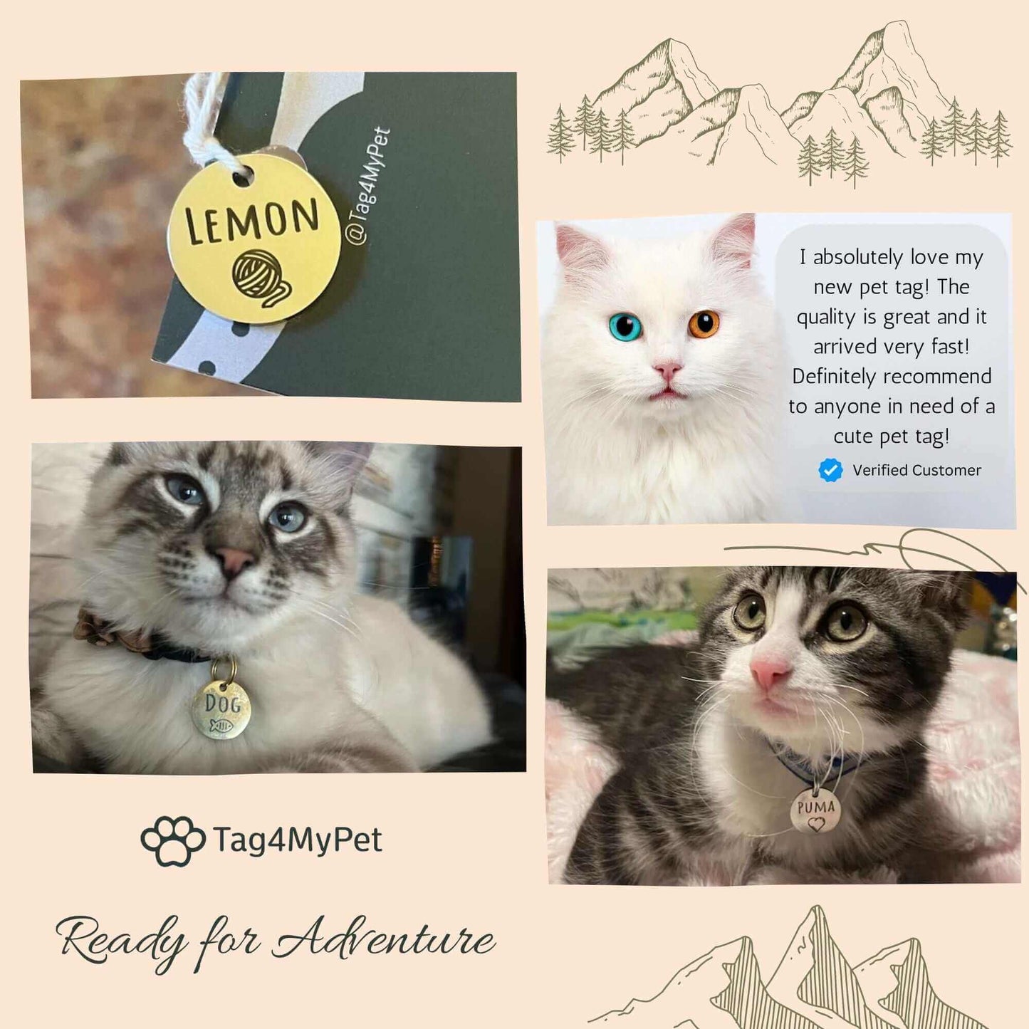 Cat Collar Breakaway - Minimalist Designs with ID Tag