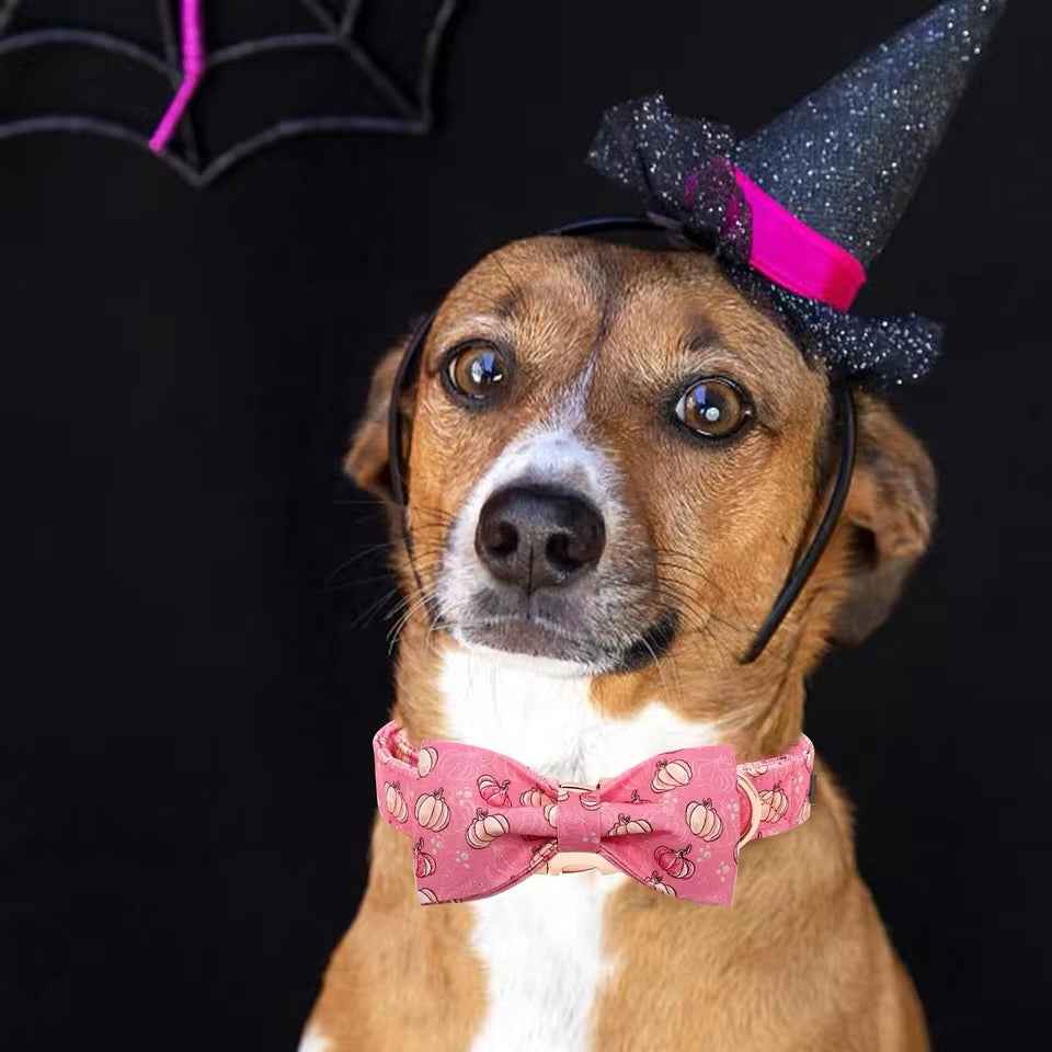 Pumpkin Dog Collar | Dog Halloween Collar