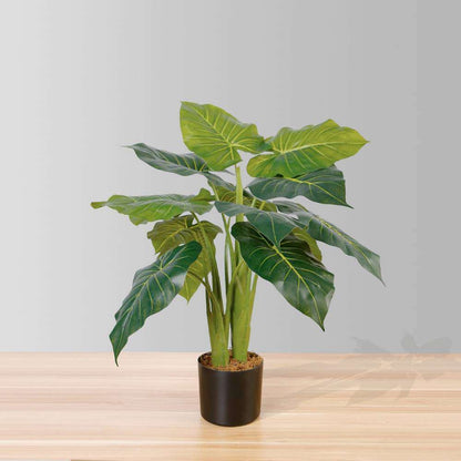 Dora Künstliche Alocasia Topfpflanze 71 cm