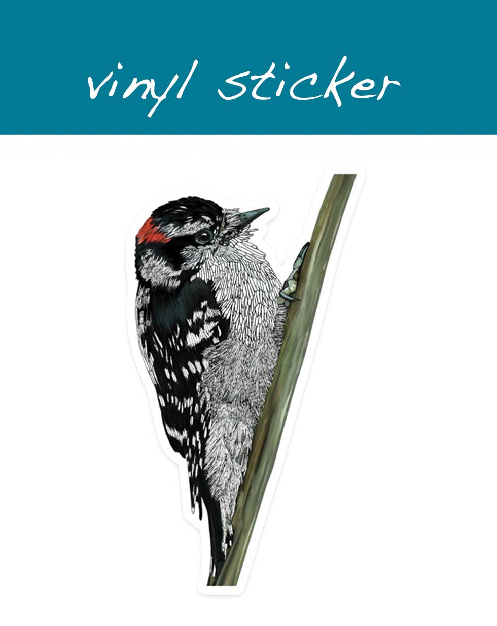 Vinyl Sticker - Downy Woodpecker