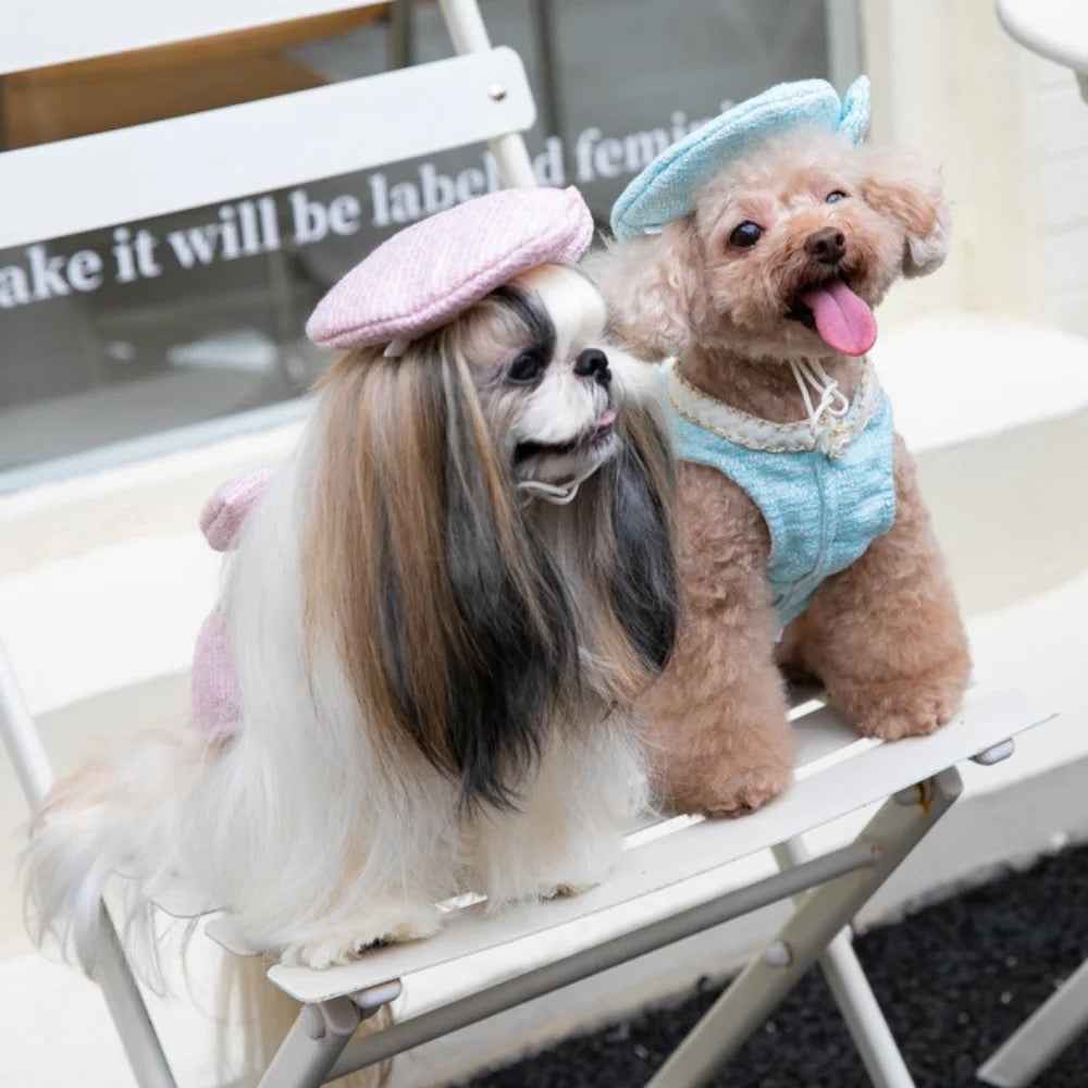 Paris Dog Dress & Hat Set – Elegant Outfit for Dogs