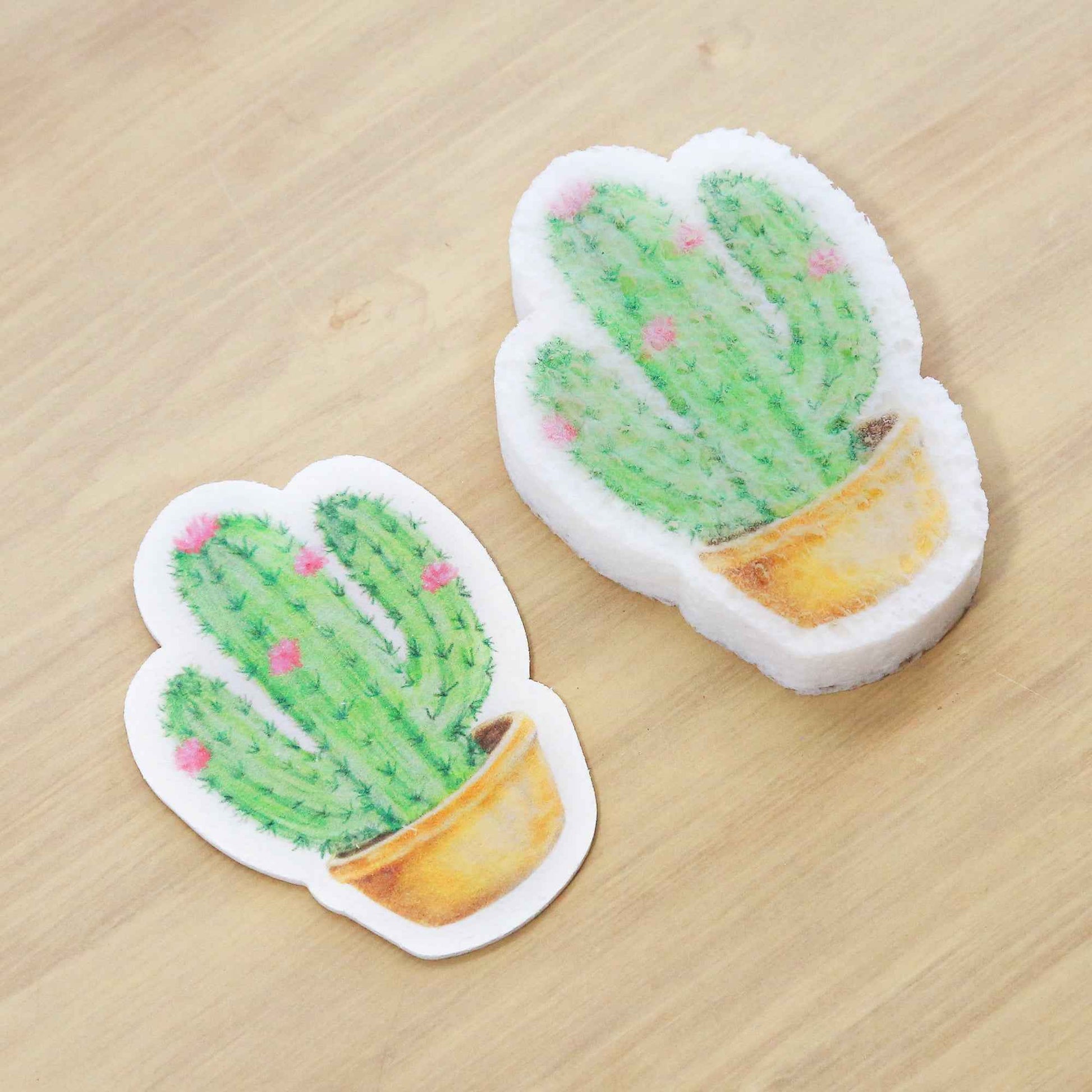 Cactus Pop Up Sponge