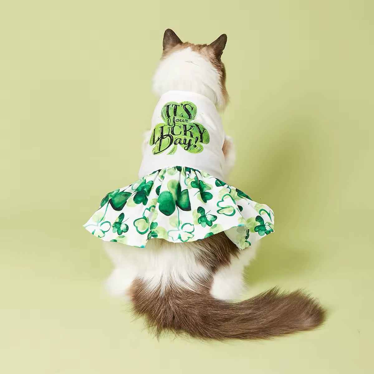 It’s Your Lucky Day Dress – Saint Patrick’s Day Dog Dress