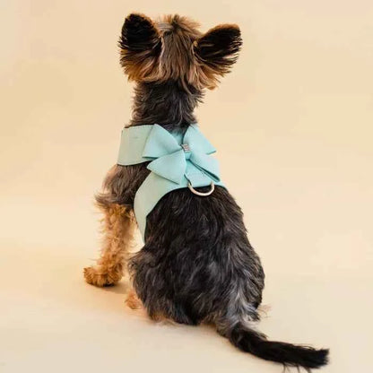 Rhinestone Dog Harness & Leash Set