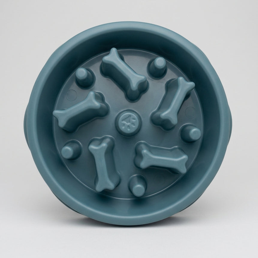 Bone Slow Feeder Bowl for Dogs