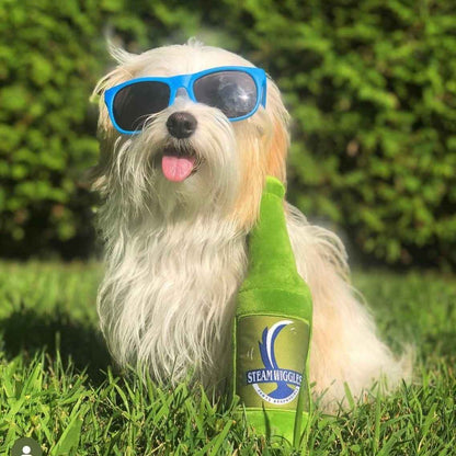 Steam Wiggles Dog Toy