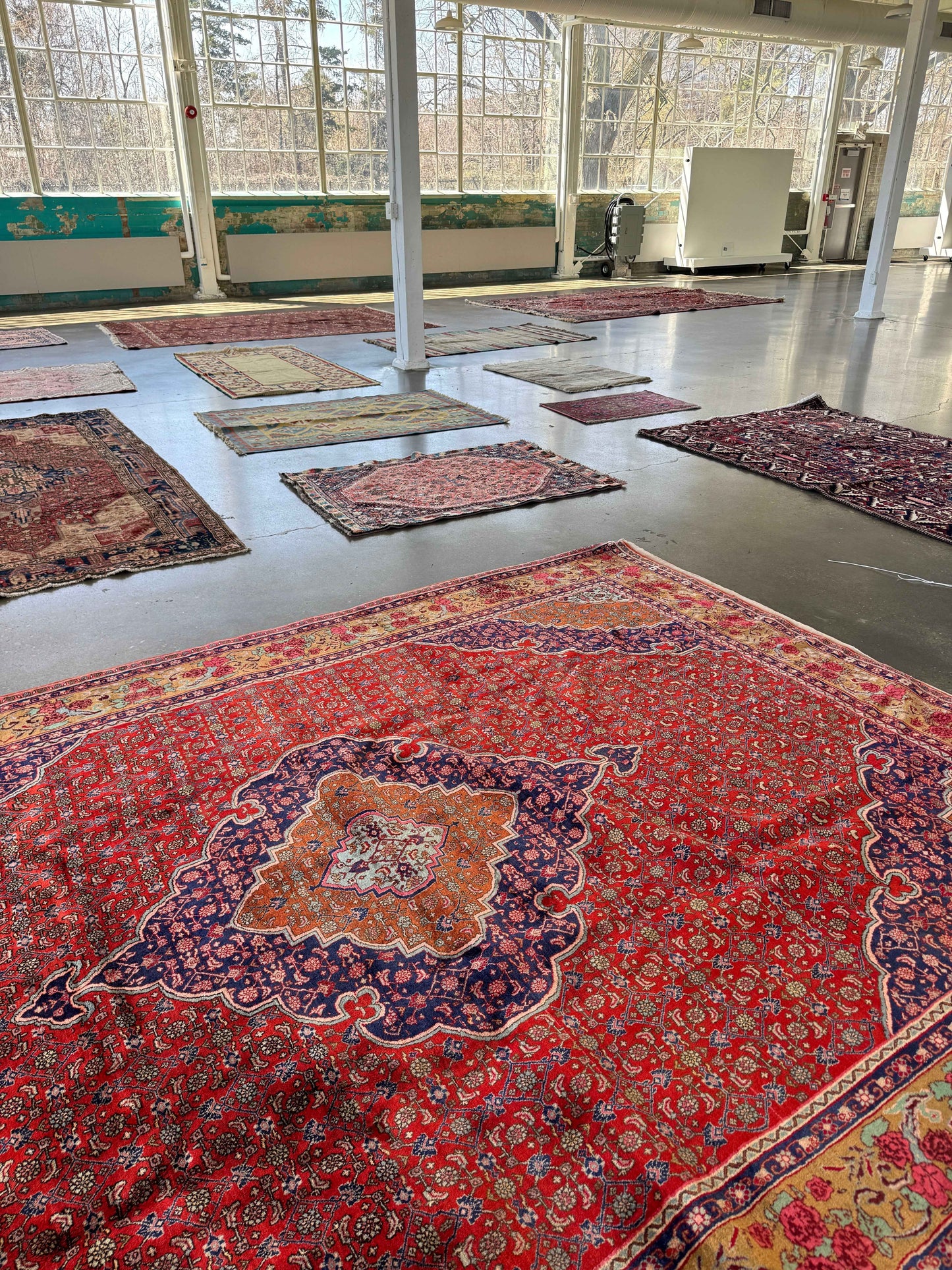 Persian Bidjar Rug | 8' 7" x 11' 10"