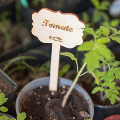 Plant markers for vegetable plants or herbs