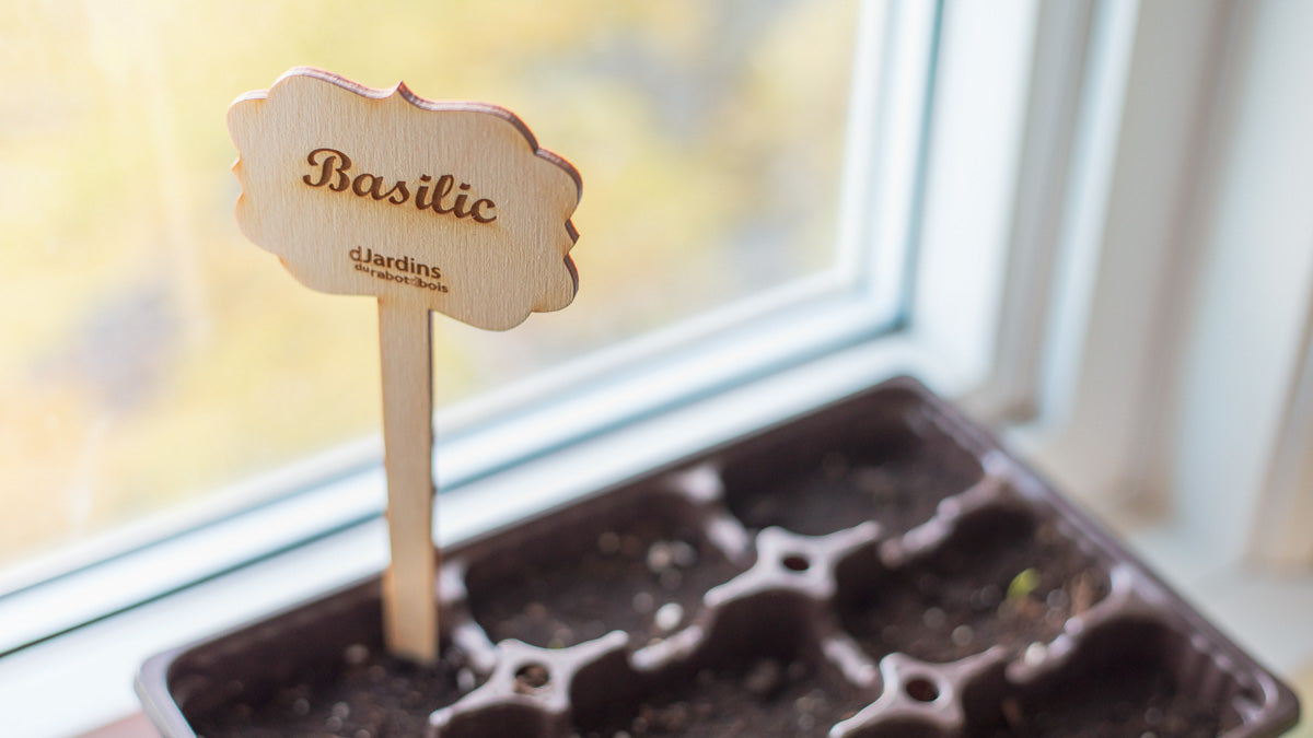 Plant markers for vegetable plants or herbs