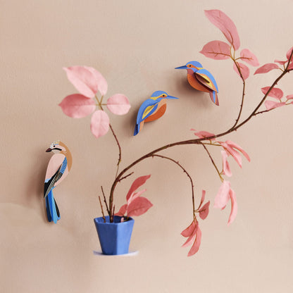 ジェイ
