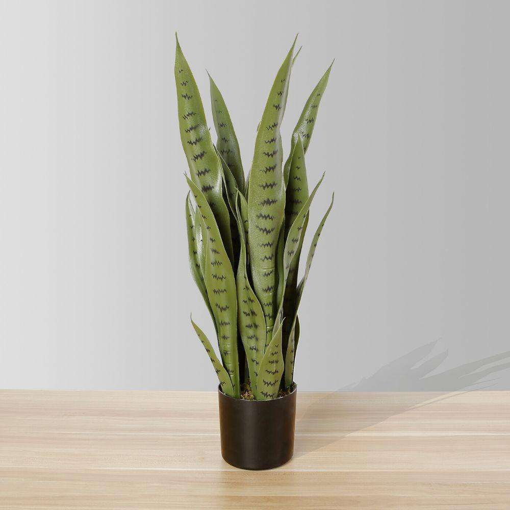 Jose Künstliche Schlangenpflanze Sansevieria Dunkelgrün Getopfte Pflanze 66 cm