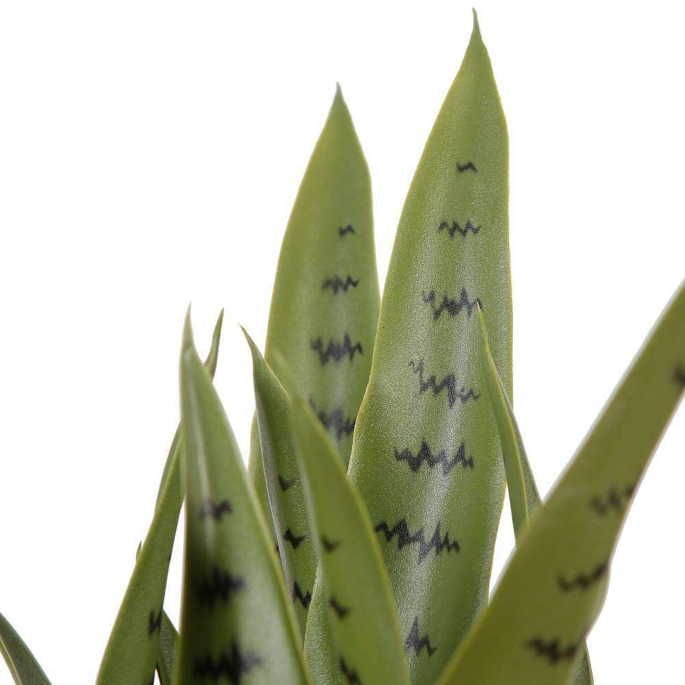 Jose Künstliche Schlangenpflanze Sansevieria Dunkelgrün Getopfte Pflanze 66 cm