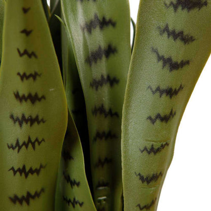 Jose Künstliche Schlangenpflanze Sansevieria Dunkelgrün Getopfte Pflanze 66 cm