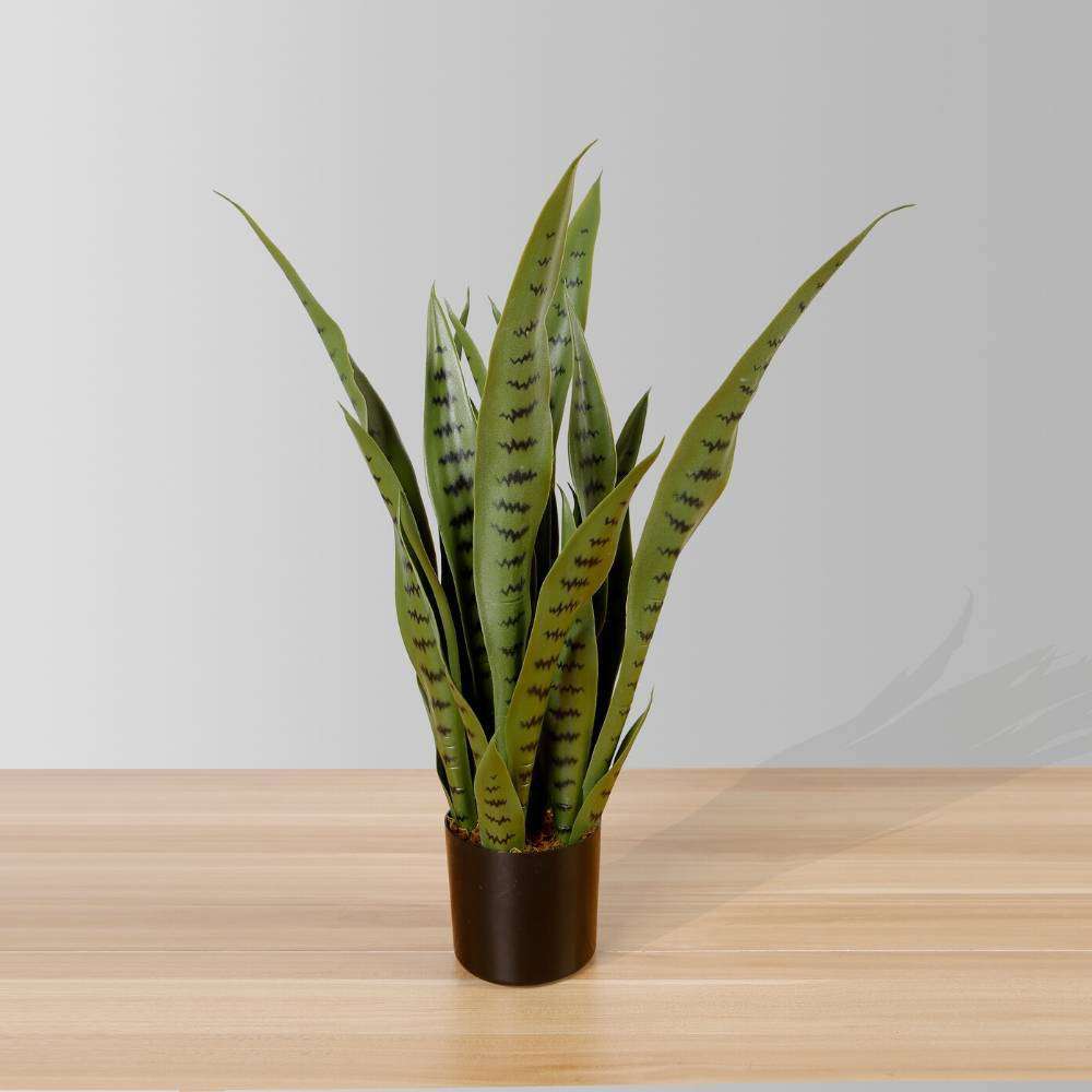 Jose Künstliche Schlangenpflanze Sansevieria Dunkelgrün Getopfte Pflanze 66 cm