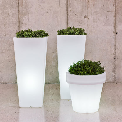Magnolia<br> Solar & Rechargeable