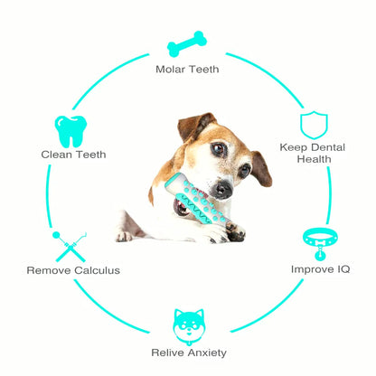 Dog Dental Health Chew Toy | Molar