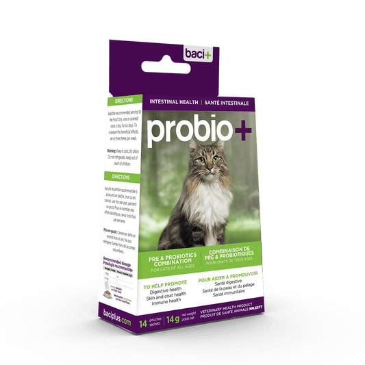 Probio+ – Pré & Probiotiques Naturels pour Chats & Chatons