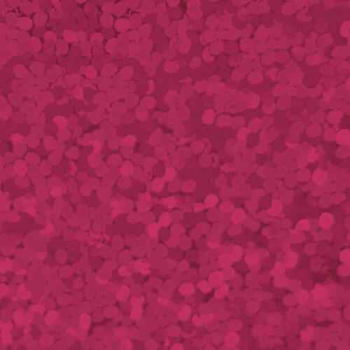 XVINYL Holographic Sparkle HTV - Heat Transfer Vinyl (Puschia), 12x10", 5 Sheets