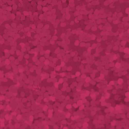 XVINYL Holographic Sparkle HTV - Heat Transfer Vinyl (Puschia), 12x10", 5 Sheets