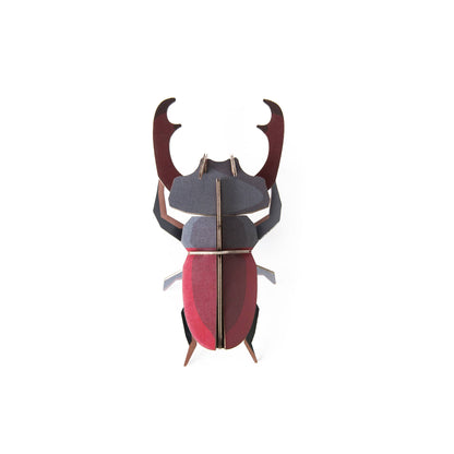 Stag Beetle