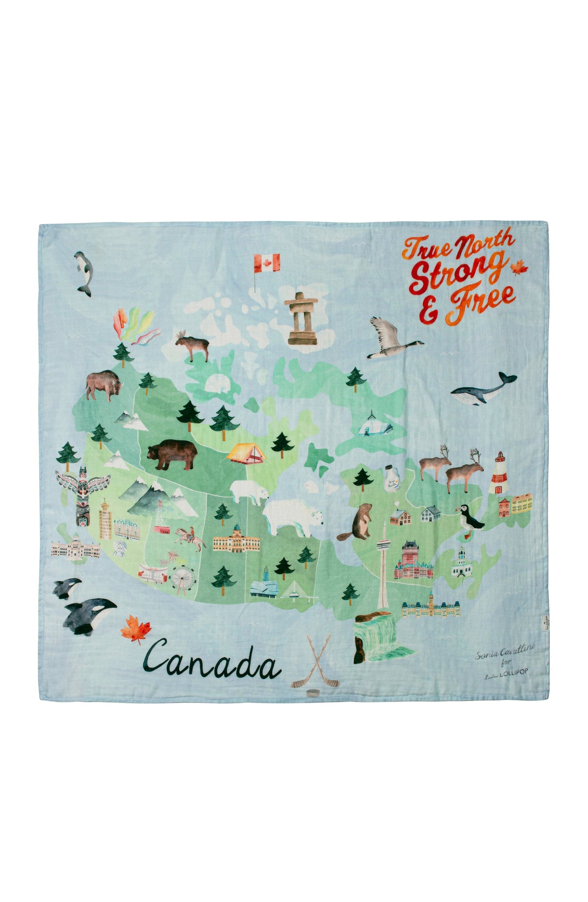 Baby Muslin Swaddle in Tanboocel® Bamboo Viscose - Canada
