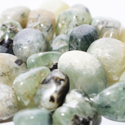 Prehnite Tumbled Stone 'B' (India) - 1lb bag
