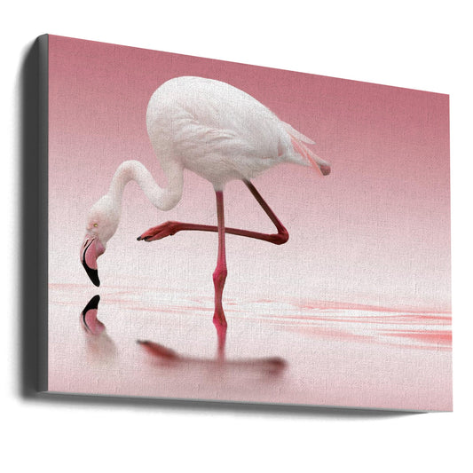 Wandbild Flamingo