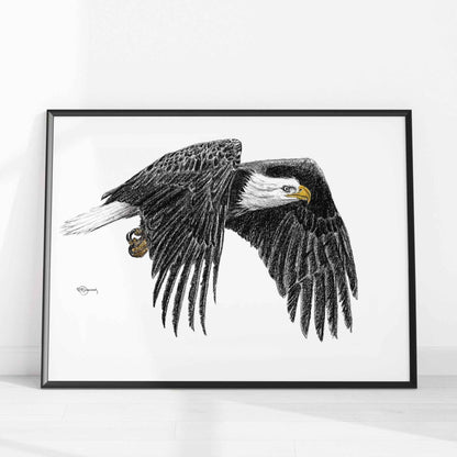 Bald Eagle - Animal Art Print