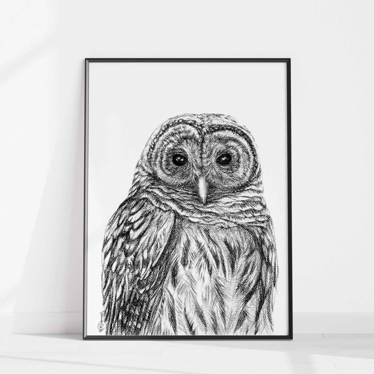Barred Owl - Paper art Print