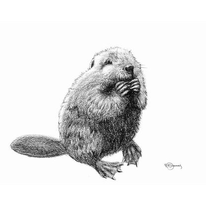 Baby Beaver - wildlife art print