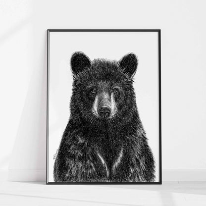Black Bear Portrait  - Rigid Framed Canvas