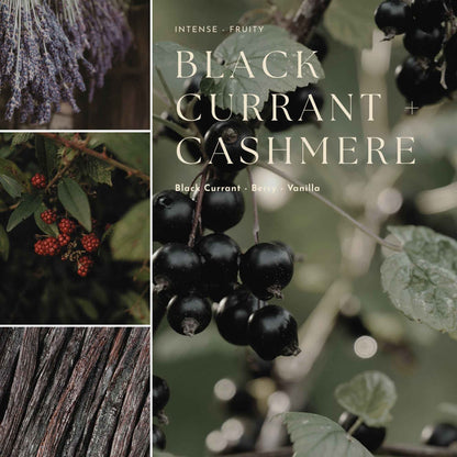 Gourmand, Fruit & Citrus Reed Diffuser Oil Refill
