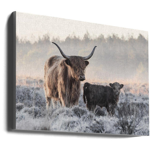 Wandbild Highland-Rind und Kalb