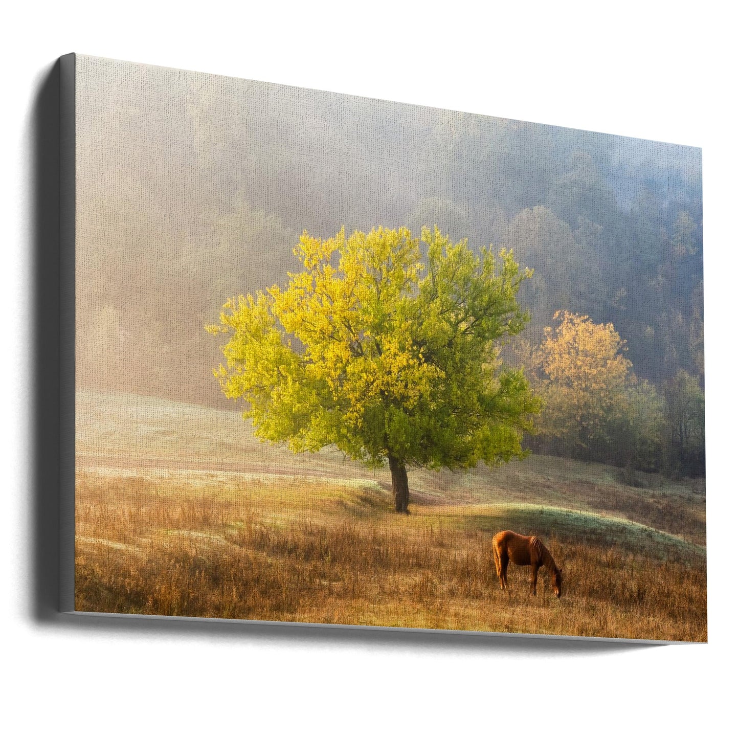 Wandbild Lebensbaum