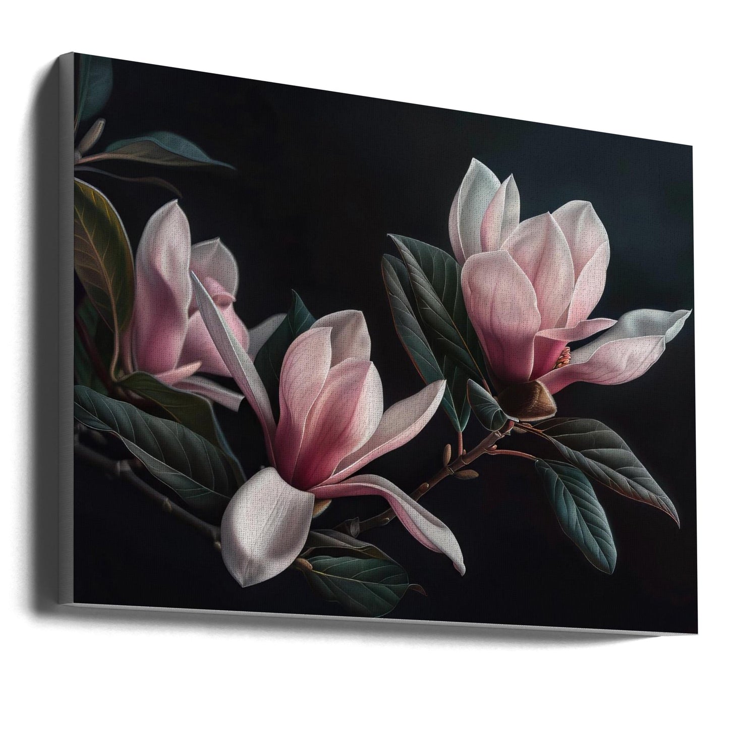 Wandbild „Liebliche Magnolien 26“