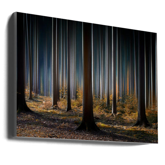 Wandbild Mystischer Wald