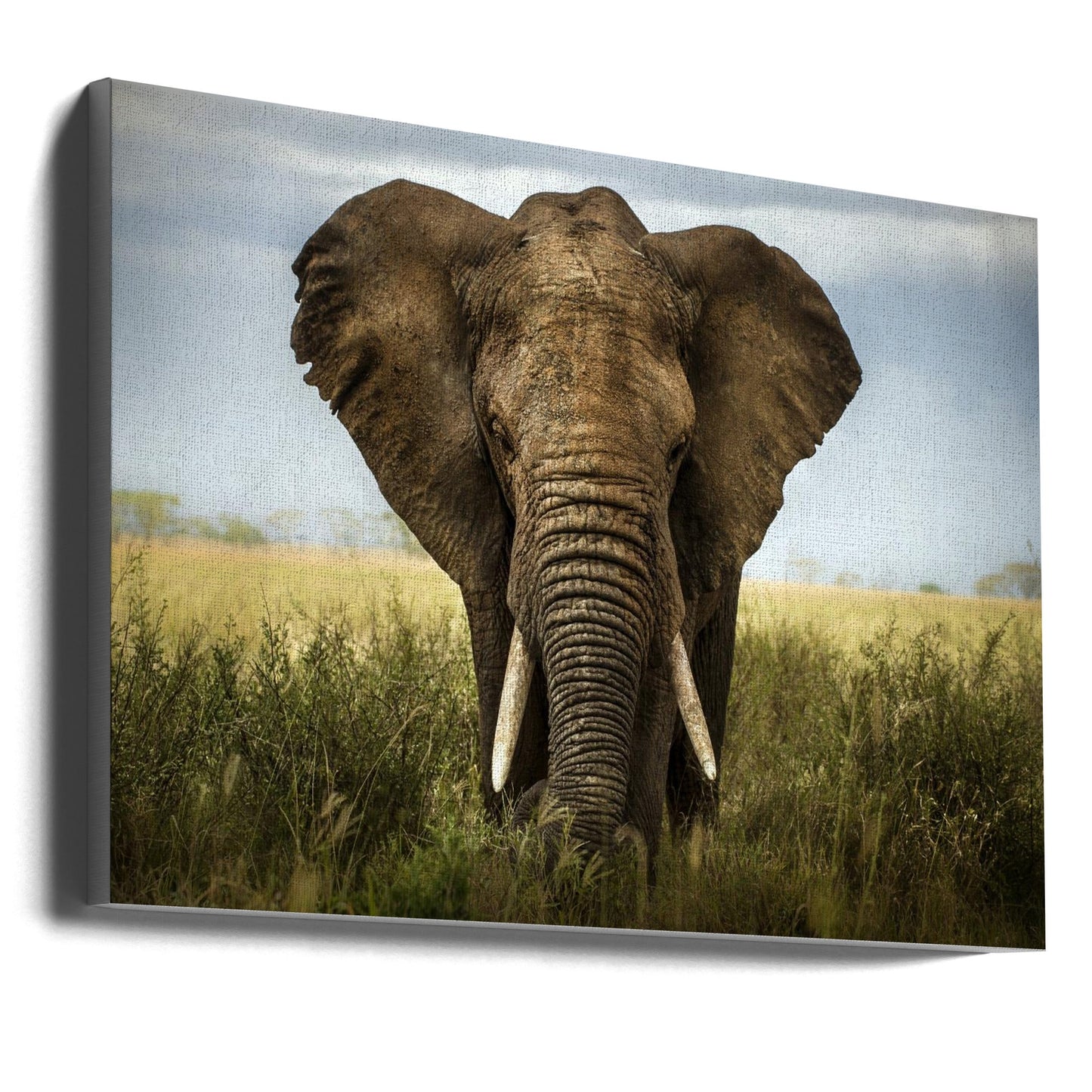Wandkunst-Begegnungen in der Serengeti. Elefant