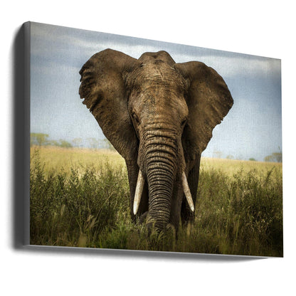 Wandkunst-Begegnungen in der Serengeti. Elefant