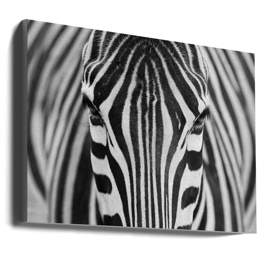 Wandkunst Zepra