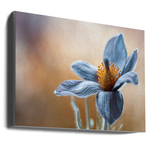 Wandkunst Kuhschelle. Blumen