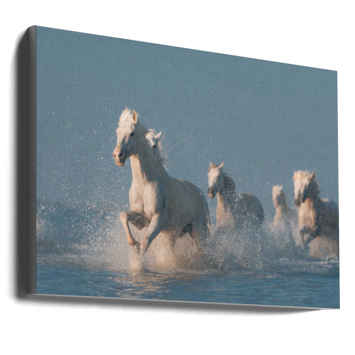 Wandbild Engel der Camargue. Pferd